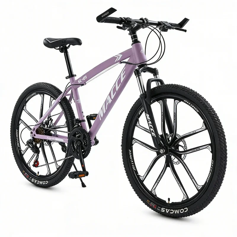 Vélo de montagne haut de gamme - Cycling Low Gear avis et prix