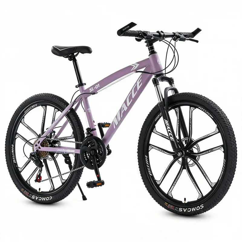 Vélo de montagne haut de gamme - Cycling Low Gear avis et prix
