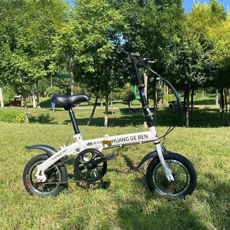 Vélos pliants de 20 pouces pou - Cycling Low Gear avis et prix